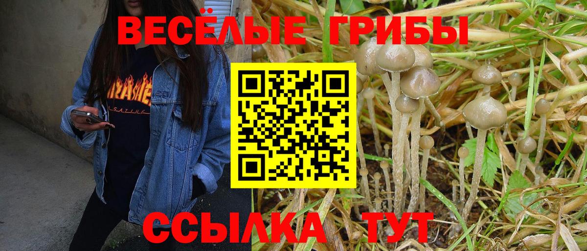 Урюпинск  Псилоцибиновые грибы MAGIC MUSHROOMS  Вход с VPN 