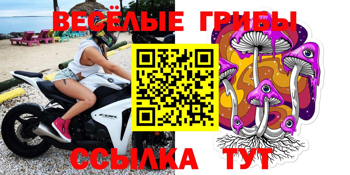 Галлюциногенные грибы мицелий Урюпинск